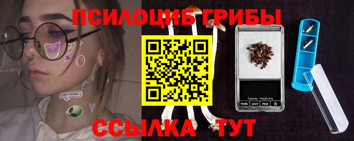Псилоцибиновые грибы мицелий  Вход с VPN  Светлоград 